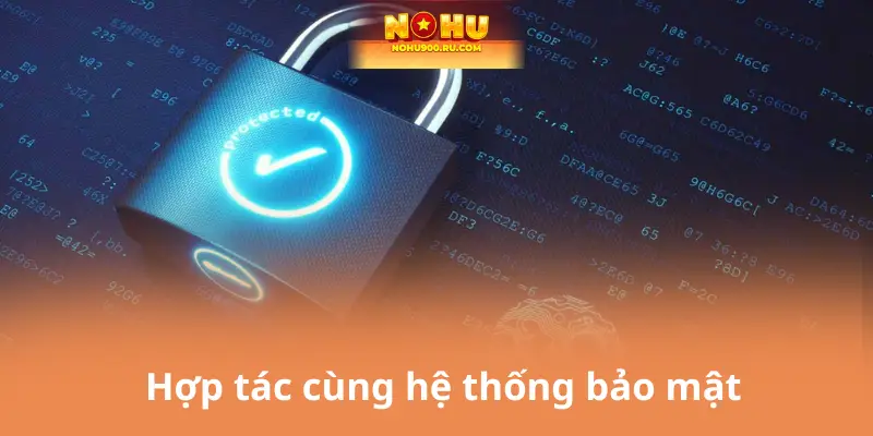 Hợp tác cùng hệ thống bảo mật