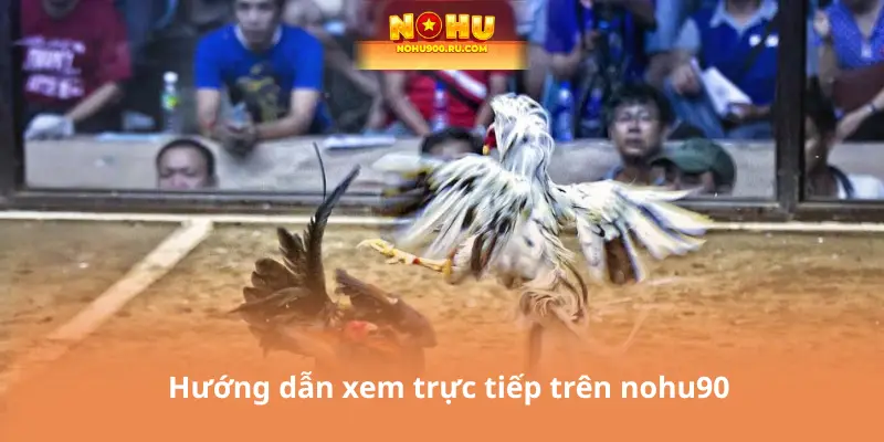 Hướng dẫn xem trực tiếp trên nohu90